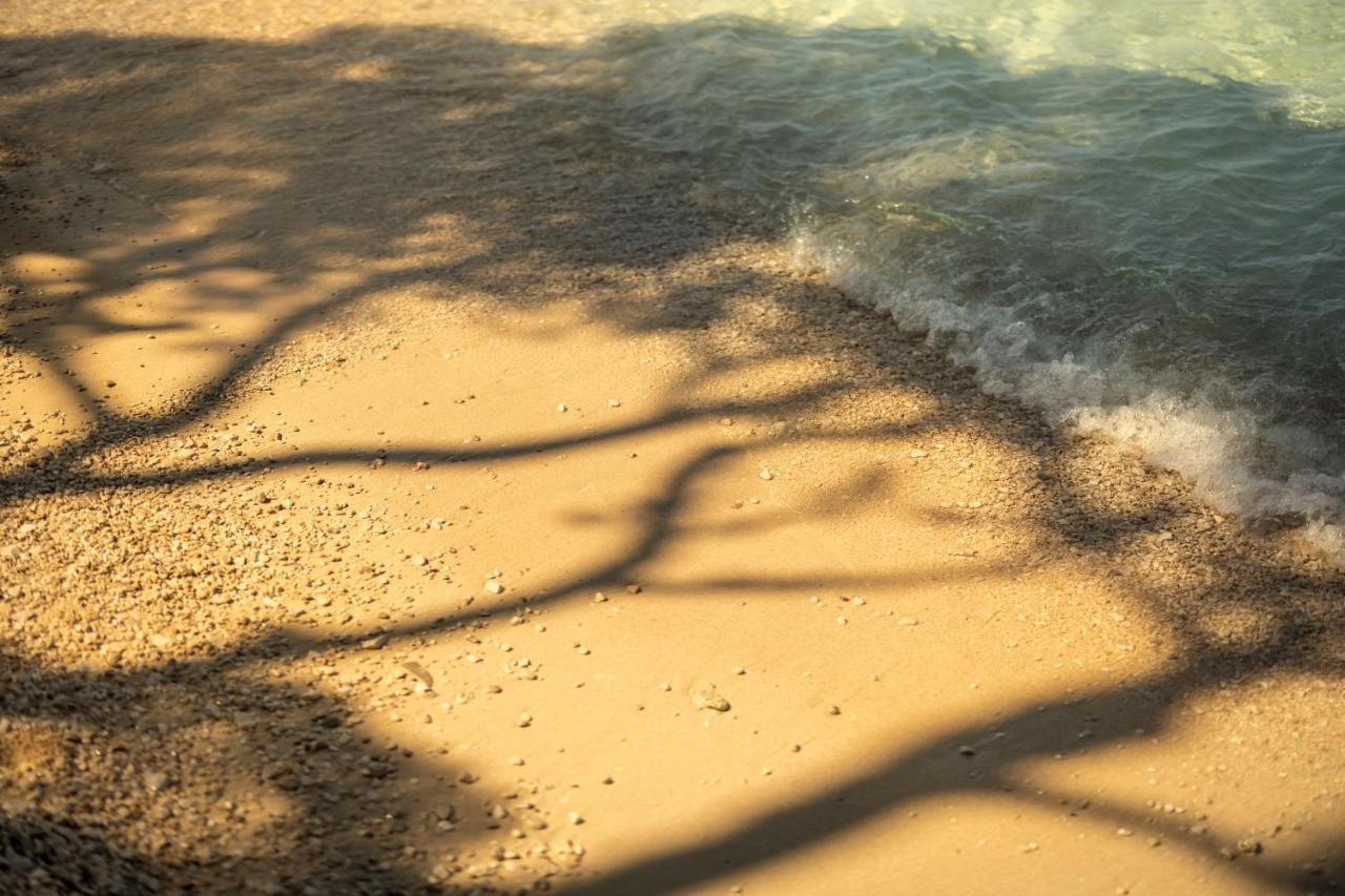 Places Dalmacija By Valamar Μακάρσκα Εξωτερικό φωτογραφία